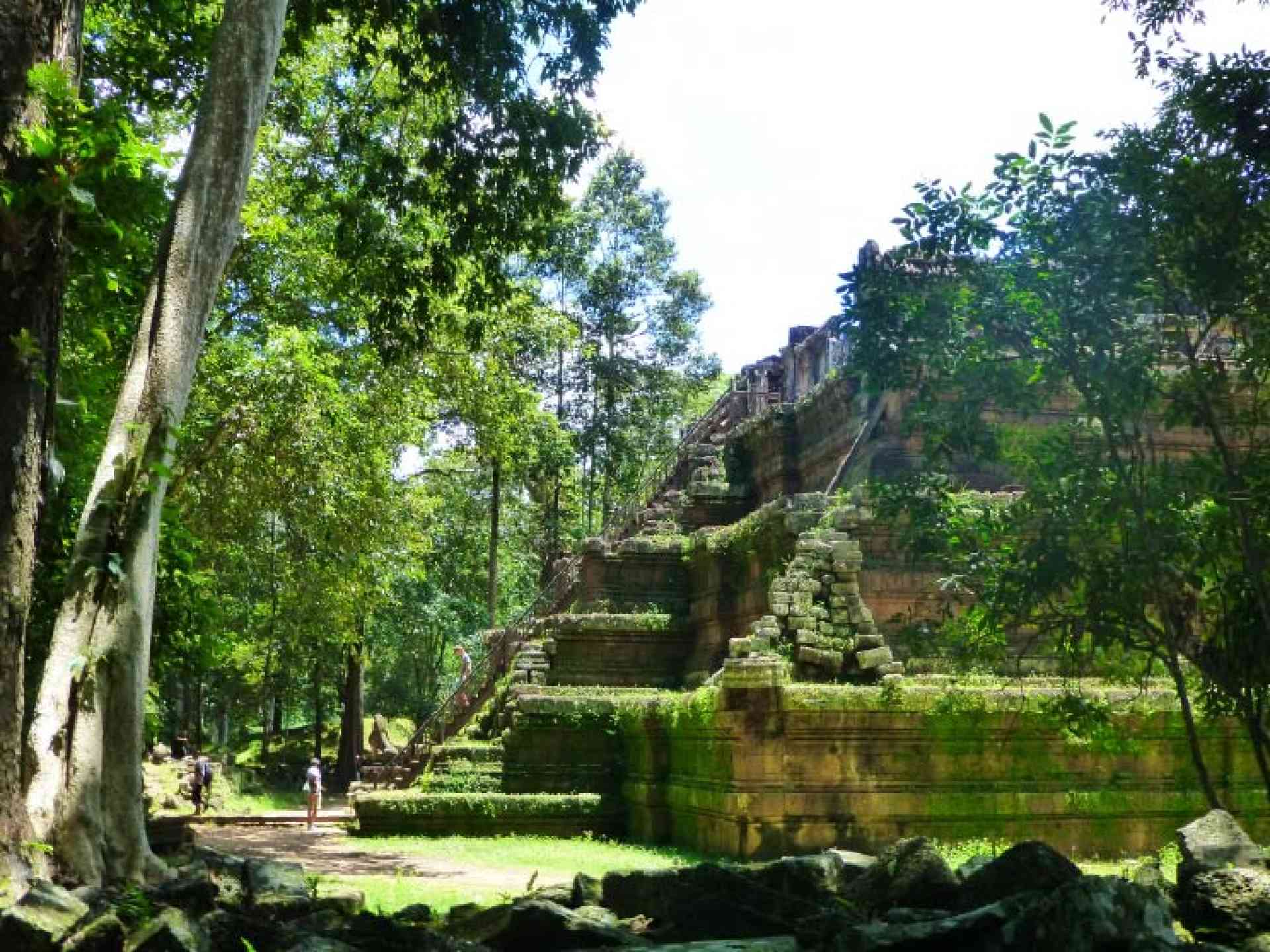 Lush jungle around the Angkor Thom temples in Cambodia