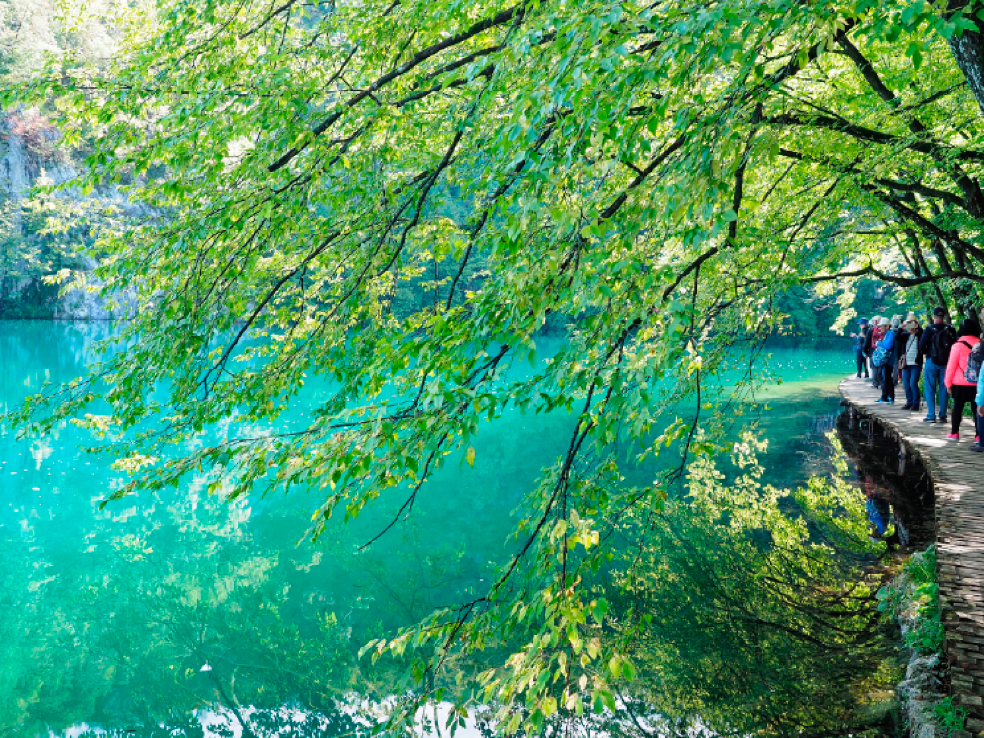 Into the Heart of Plitvice