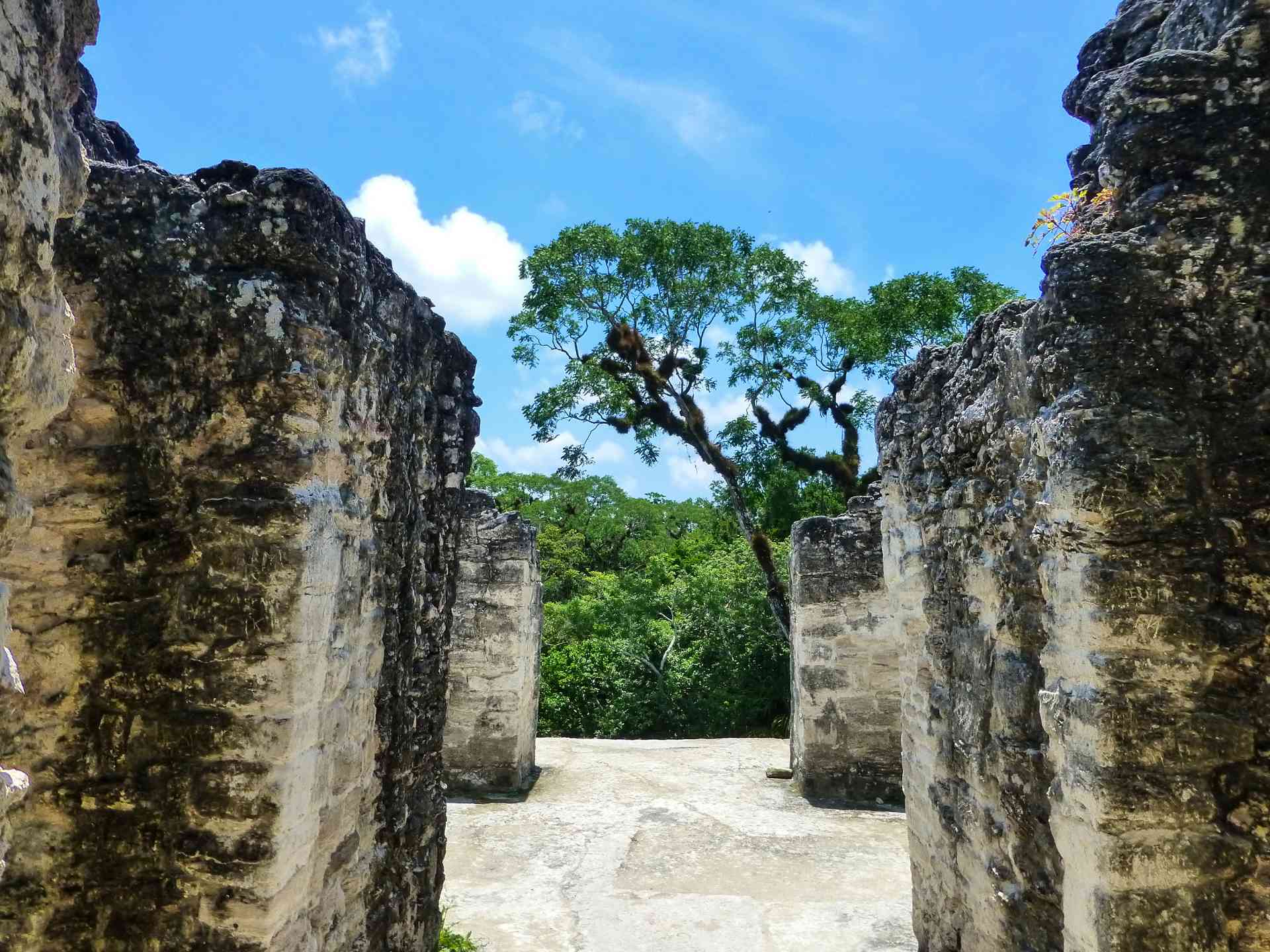Tikal, Guatemala by Marion Bunnik