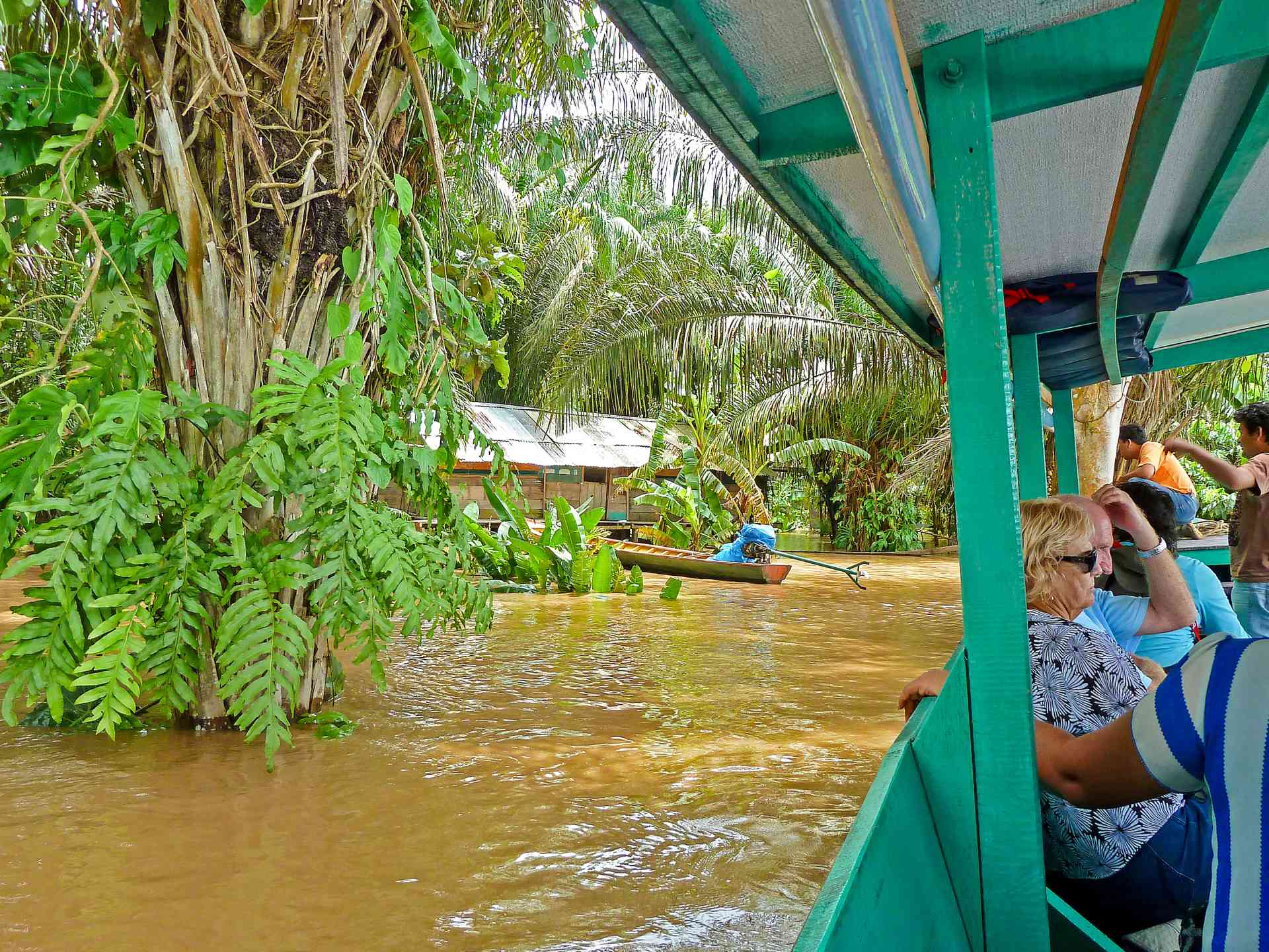 Amazon Jungle, Peru by Peter McKenzie