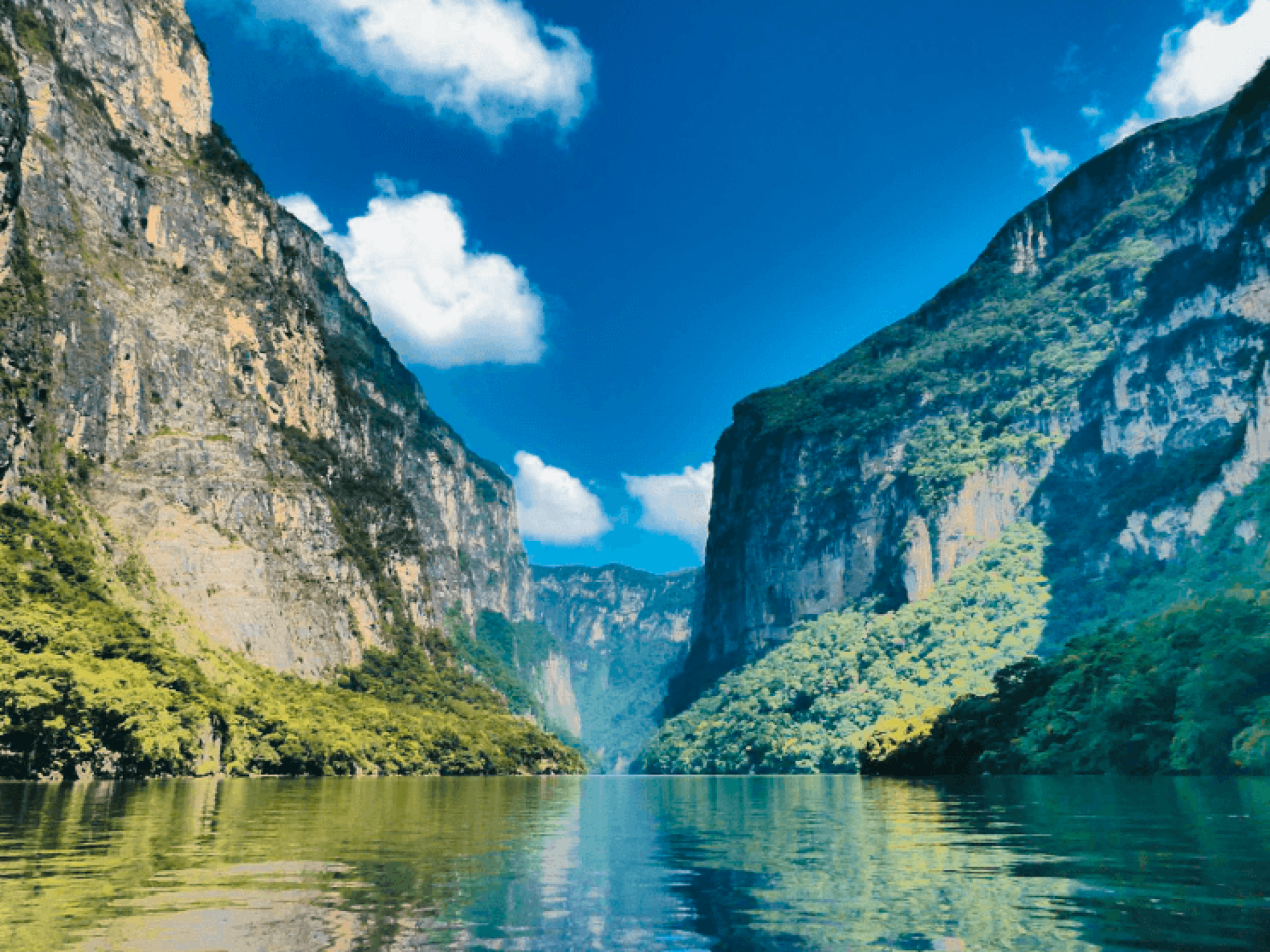 Jungle Landscapes & Caribbean Coastlines
