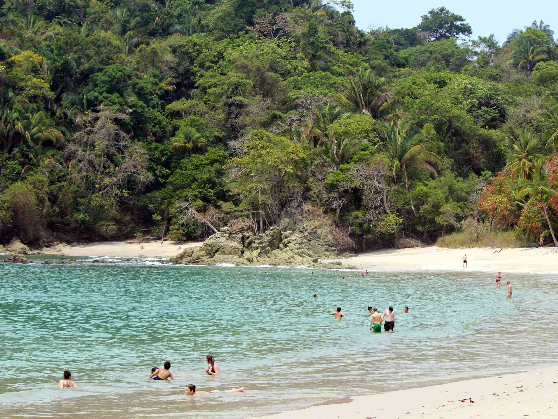 Manuel Antonio by Emily Fraser