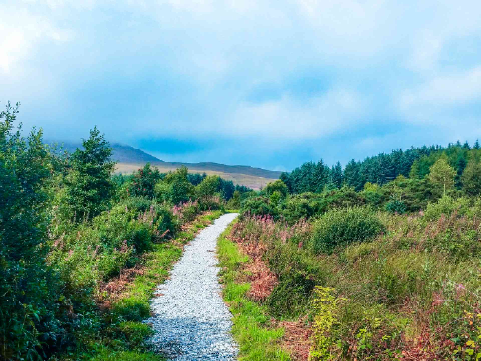 Isle of Skye, Scotland by Rachel McMahon