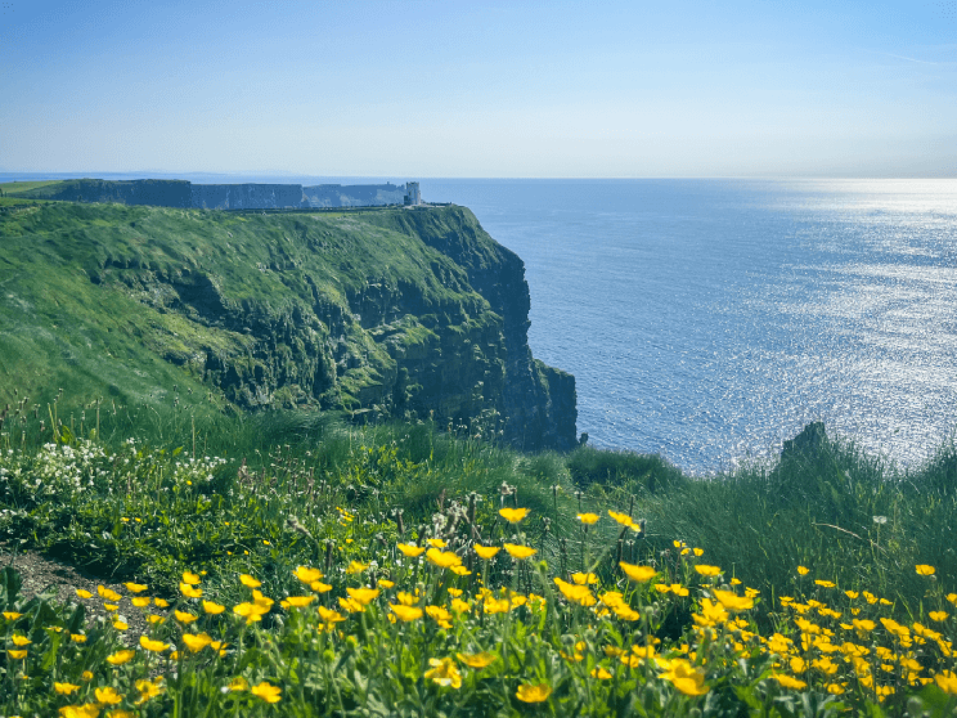 Cliffs of Moher on a Bunnik Tour of Ireland